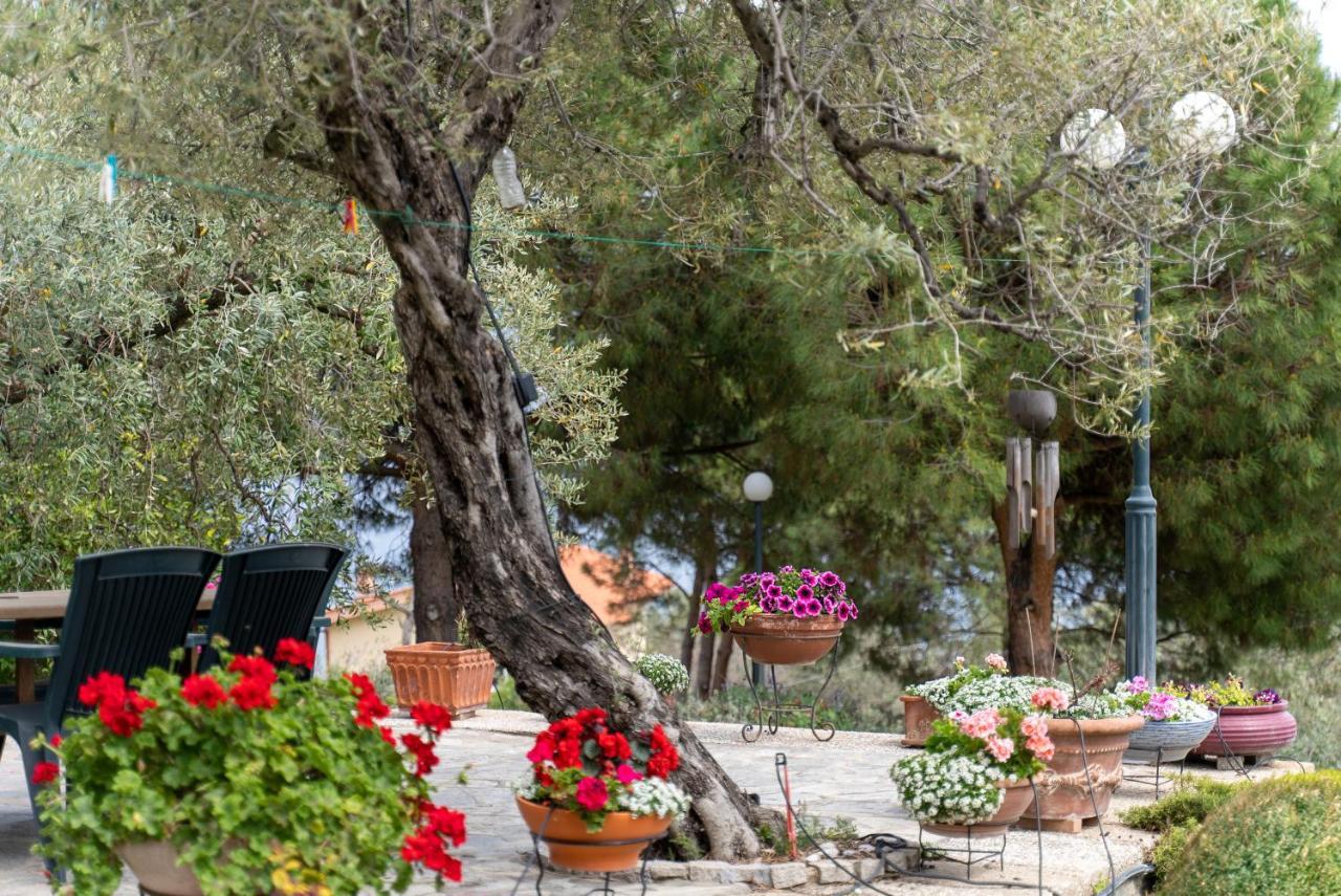 Villa Elia Kavala - Mediterranean Holiday Villa PalaiónTsiflíkion Eksteriør bilde