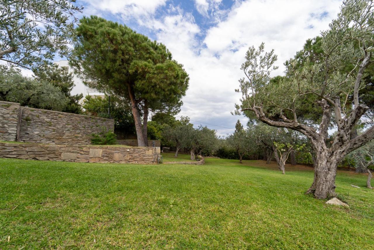 Villa Elia Kavala - Mediterranean Holiday Villa PalaiónTsiflíkion Eksteriør bilde