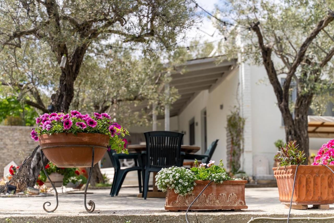 Villa Elia Kavala - Mediterranean Holiday Villa PalaiónTsiflíkion Eksteriør bilde